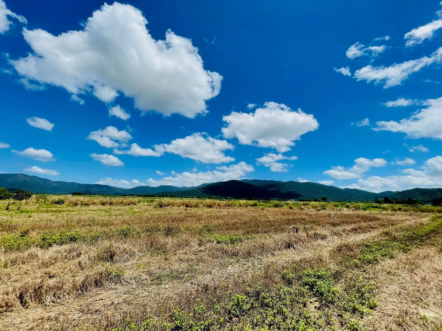 Main view of Homely land listing, Lot 155 Bruce Highway, Feluga QLD 4854