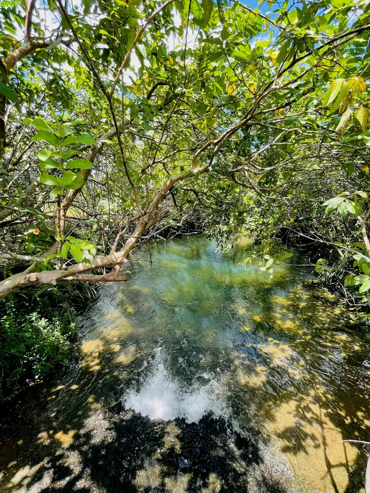 Second view of Homely land listing, Lot 155 Bruce Highway, Feluga QLD 4854