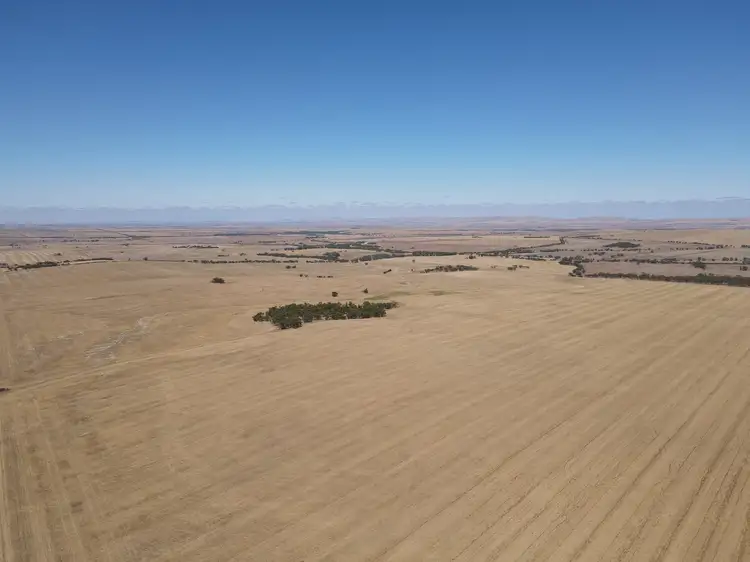 Sections 236 & 237W Mallee Grove Road, Koolunga SA 5464
