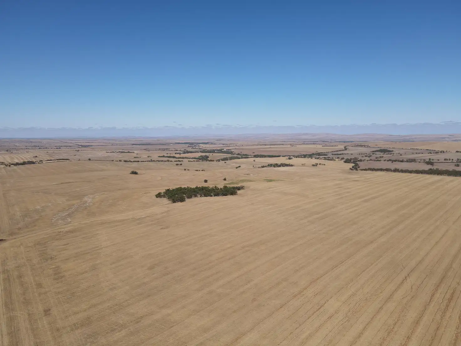 Main view of Homely rural property listing, Sections 236 & 237W Mallee Grove Road, Koolunga SA 5464
