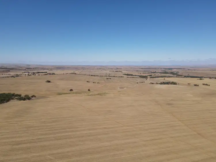 Second view of Homely rural property listing, Sections 236 & 237W Mallee Grove Road, Koolunga SA 5464
