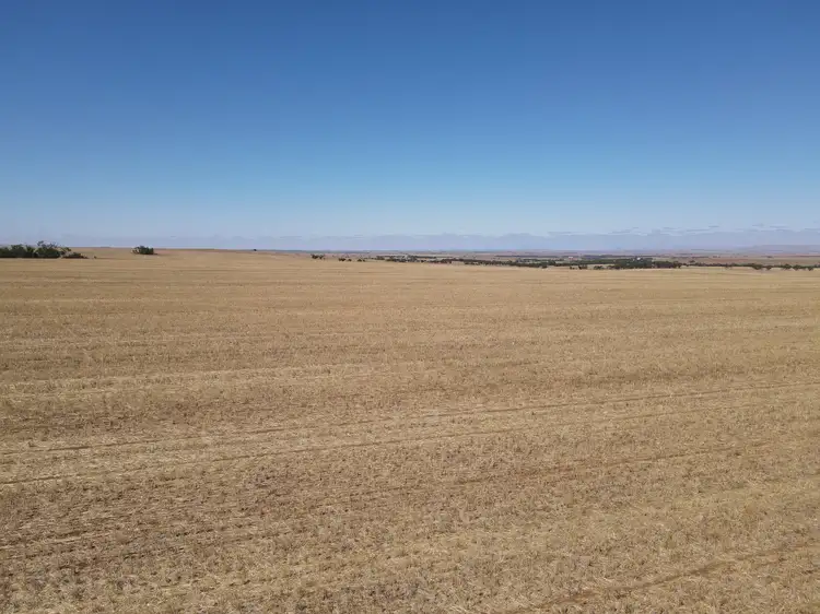 Fourth view of Homely rural property listing, Sections 236 & 237W Mallee Grove Road, Koolunga SA 5464
