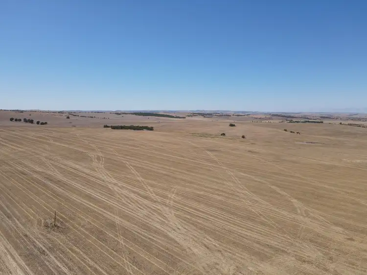 Fifth view of Homely rural property listing, Sections 236 & 237W Mallee Grove Road, Koolunga SA 5464
