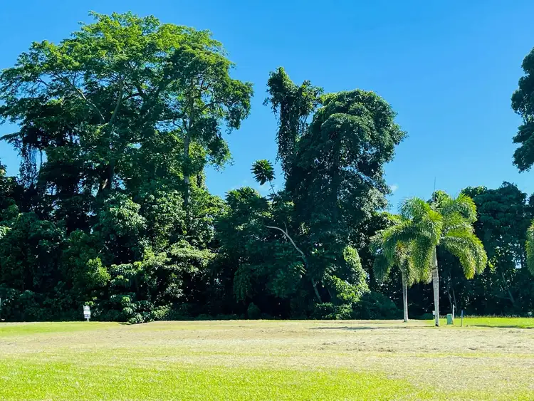 Seventh view of Homely land listing, Lot 58 Seagull Close, Mission Beach QLD 4852