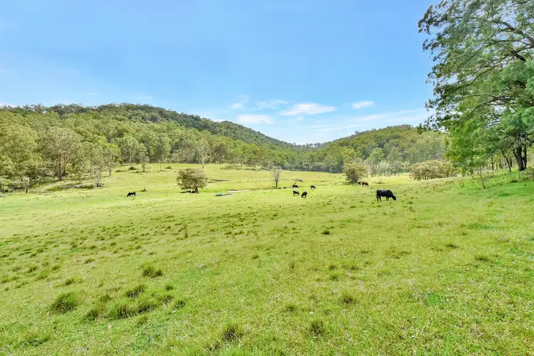 Main view of Homely rural property listing, 93 Stapleton Road, Laguna NSW 2325