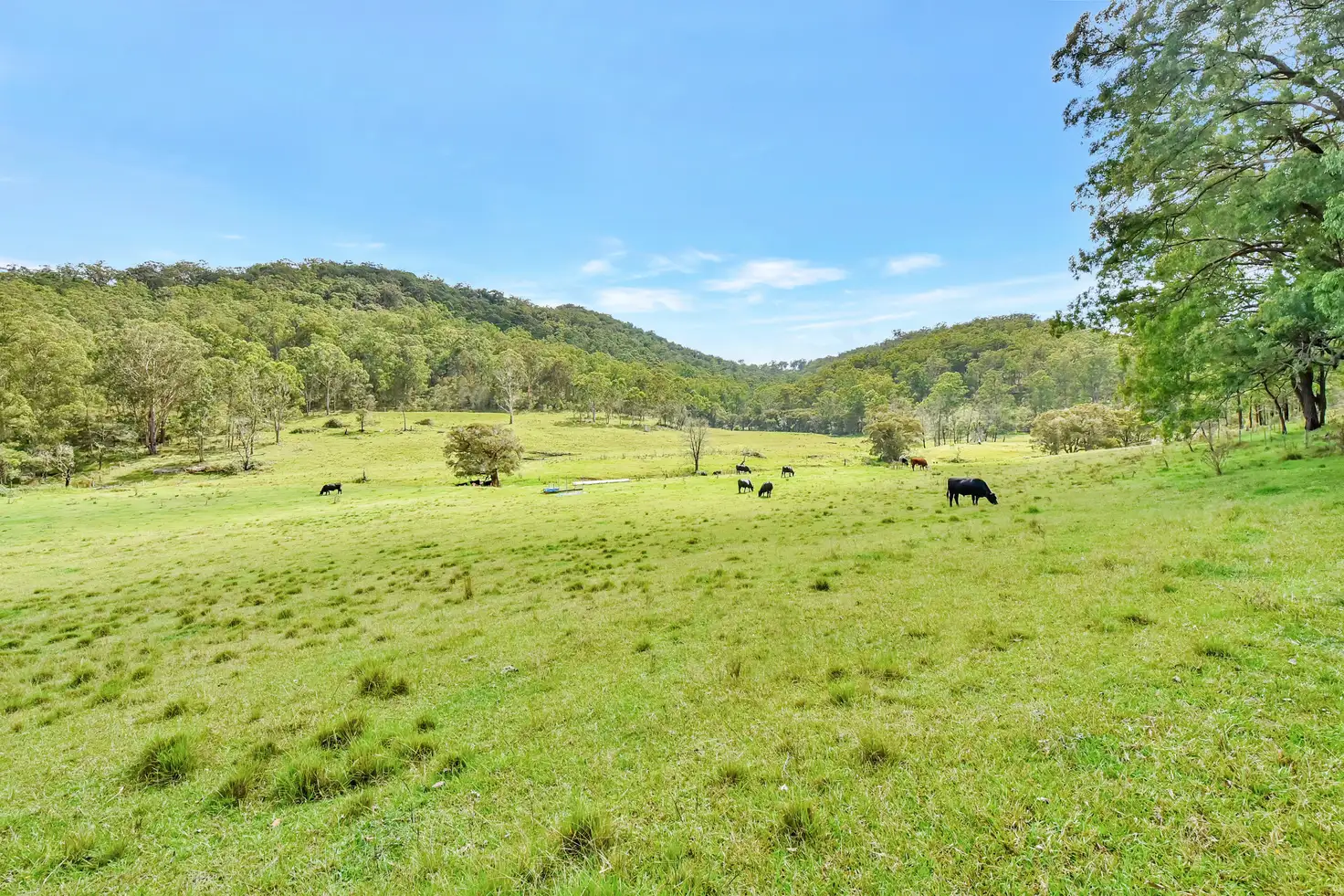 Main view of Homely rural property listing, 93 Stapleton Road, Laguna NSW 2325