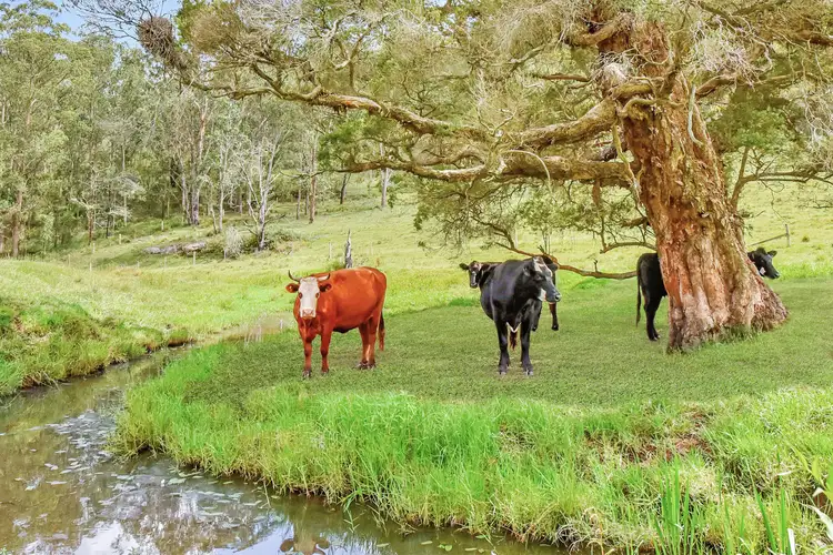 Sixth view of Homely rural property listing, 93 Stapleton Road, Laguna NSW 2325