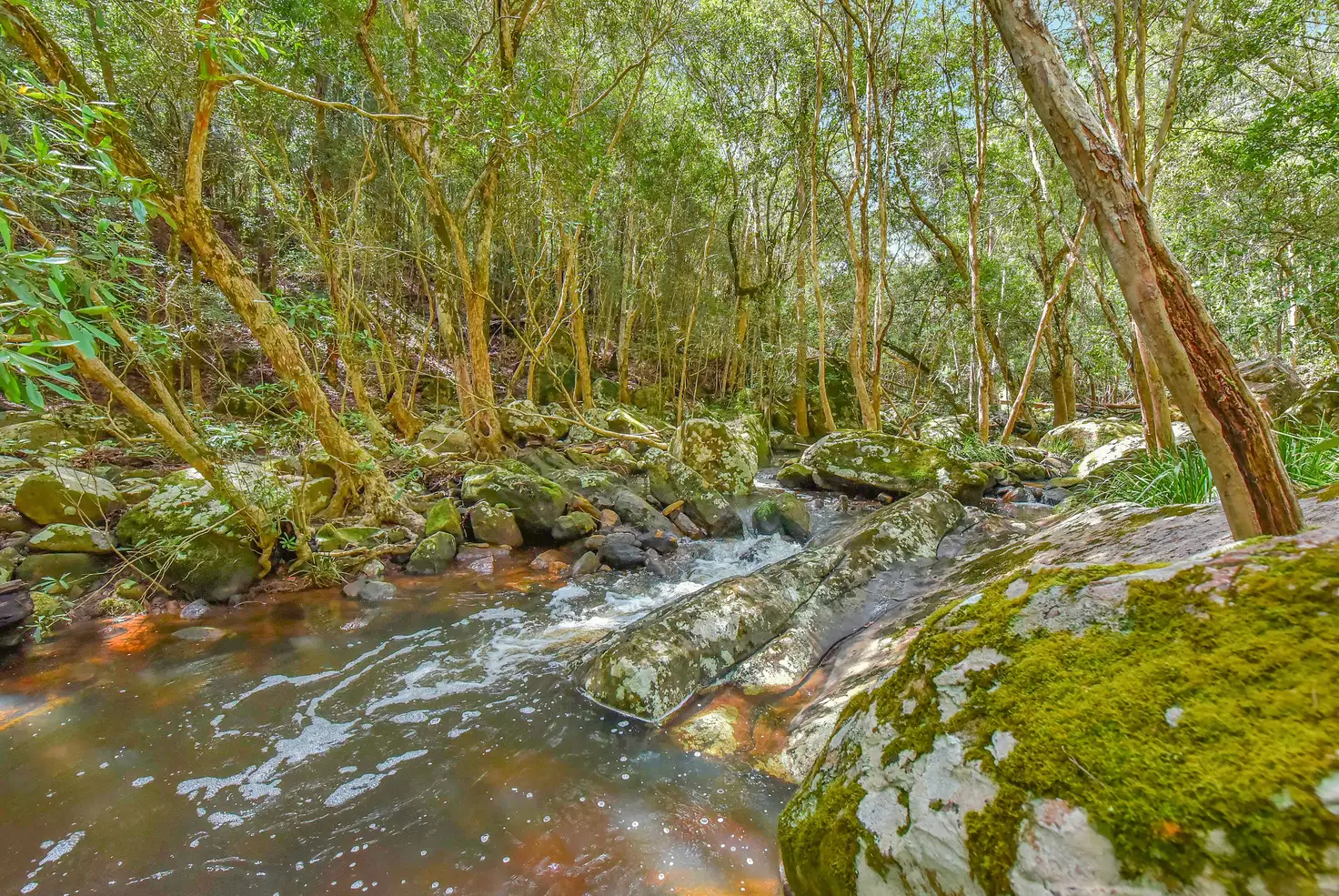Main view of Homely rural property listing, 1861 Watagan Creek Road, Laguna NSW 2325