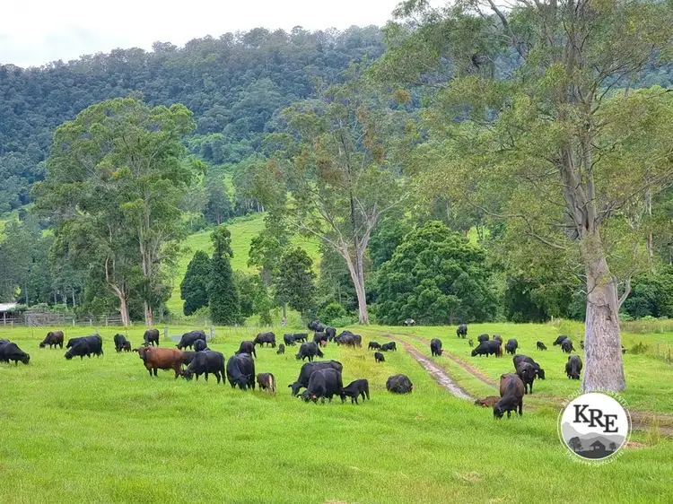 807 Tunglebung Road - Tunglebung, Casino NSW 2470