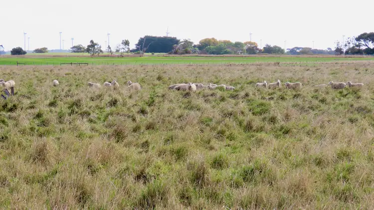 Main view of Homely rural property listing, Lot 2 Beaton Road, Tantanoola SA 5280