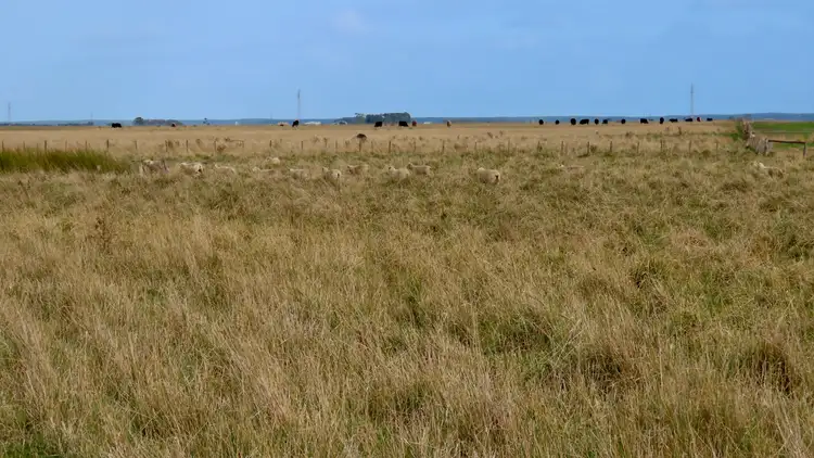 Fourth view of Homely rural property listing, Lot 2 Beaton Road, Tantanoola SA 5280