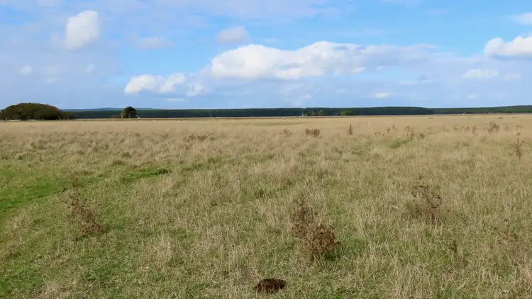 Fifth view of Homely rural property listing, Lot 2 Beaton Road, Tantanoola SA 5280