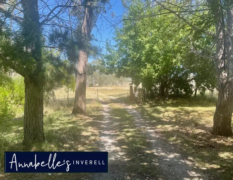 Second view of Homely house listing, 2583 Kings Plains Rd, Sapphire, Inverell NSW 2360