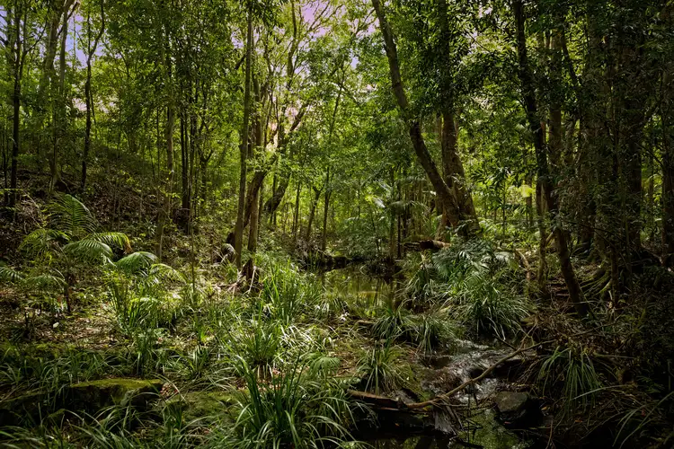 Fourth view of Homely land listing, LOT 9, 11 Sunshine Grove Pl, Yandina QLD 4561