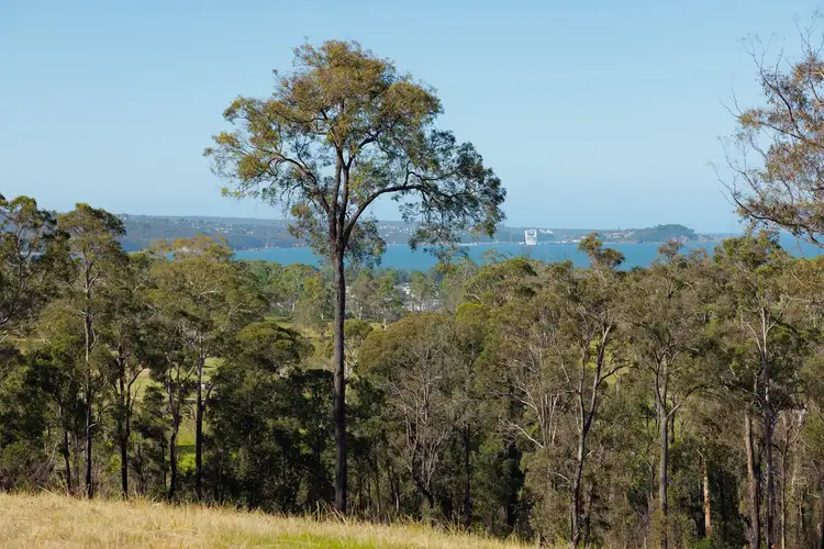 Second view of Homely rural property listing, Lots 36 & 3 Nullica Short Cut Road, Boydtown Via, Eden NSW 2551