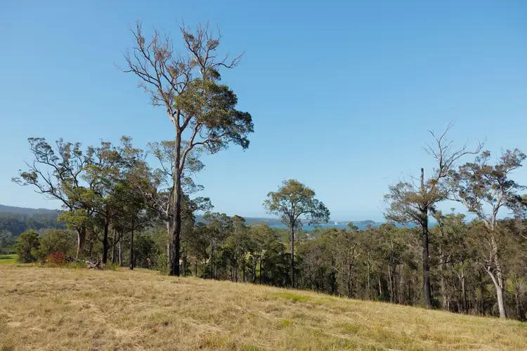 Sixth view of Homely rural property listing, Lots 36 & 3 Nullica Short Cut Road, Boydtown Via, Eden NSW 2551