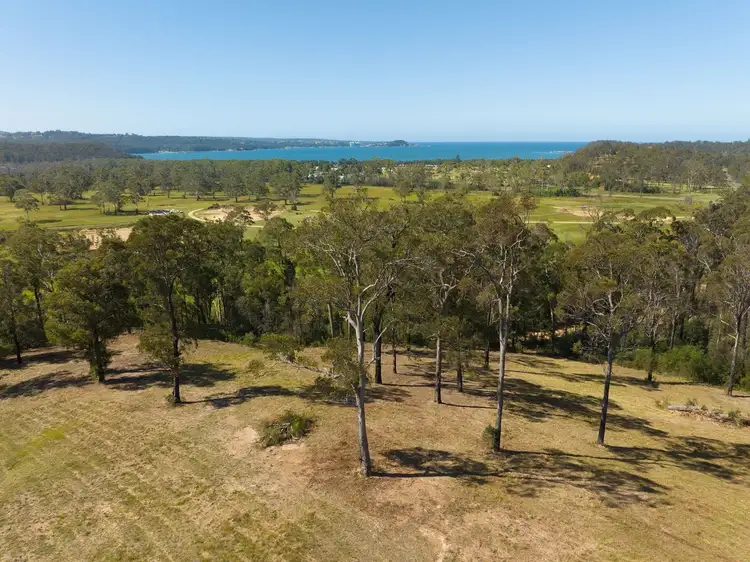 Seventh view of Homely rural property listing, Lots 36 & 3 Nullica Short Cut Road, Boydtown Via, Eden NSW 2551