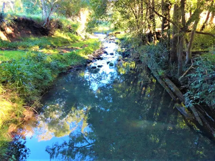 Third view of Homely rural property listing, 1810 Afterlee Rd, Kyogle NSW 2474