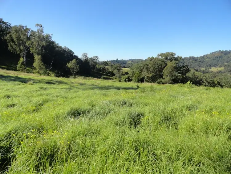 Fifth view of Homely rural property listing, 1810 Afterlee Rd, Kyogle NSW 2474