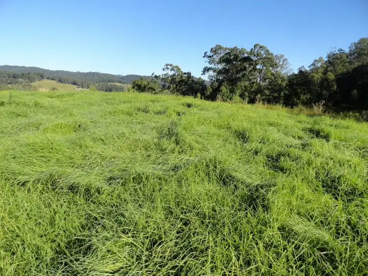 Sixth view of Homely rural property listing, 1810 Afterlee Rd, Kyogle NSW 2474