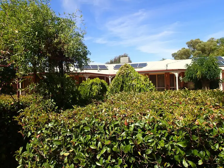 Fourth view of Homely house listing, 29 Young St, Oaklands NSW 2646