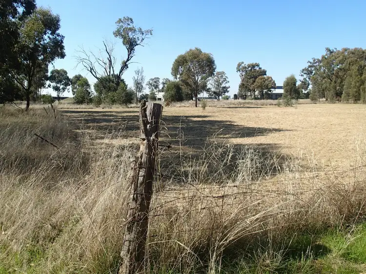 Second view of Homely land listing, 195 Coreen School Road, Coreen NSW 2646