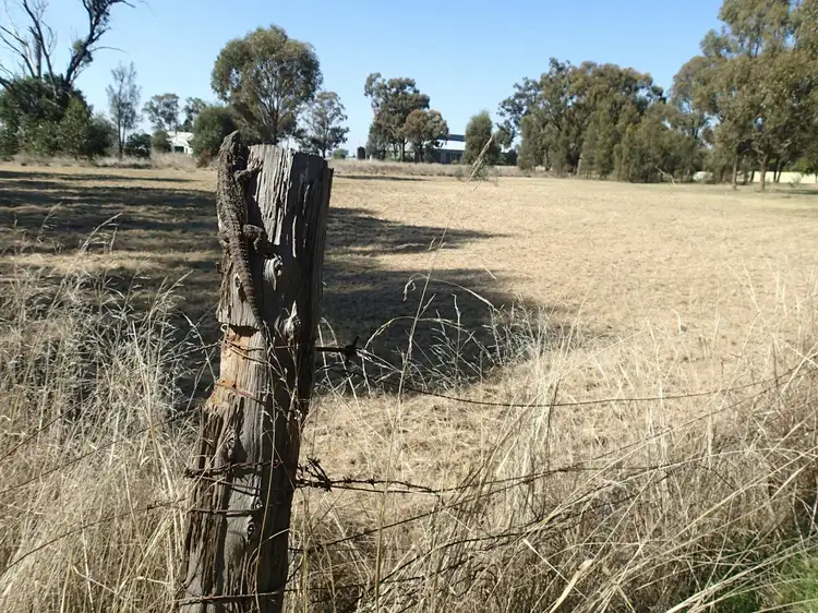 Fourth view of Homely land listing, 195 Coreen School Road, Coreen NSW 2646