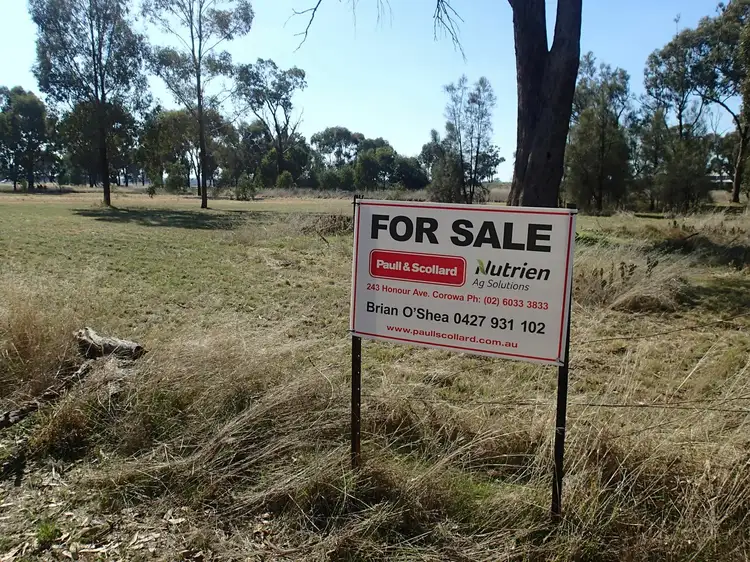 Main view of Homely land listing, 196 Coreen School Road, Coreen NSW 2646