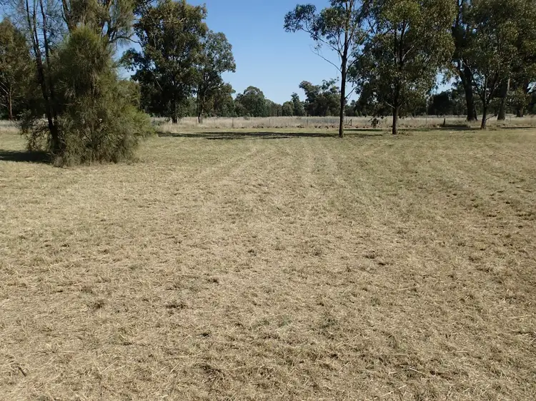 Second view of Homely land listing, 196 Coreen School Road, Coreen NSW 2646