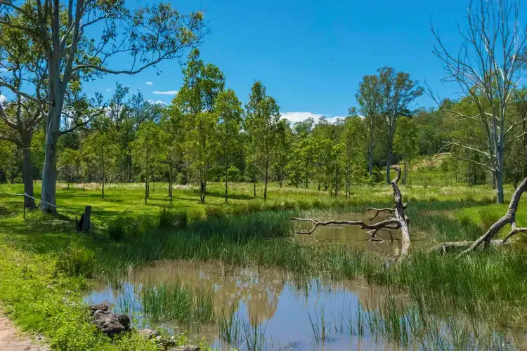 Fifth view of Homely rural property listing, 5176 Kyogle Road, Kyogle NSW 2474