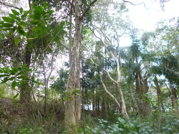 Third view of Homely land listing, 15 Harold Court, Childers QLD 4660