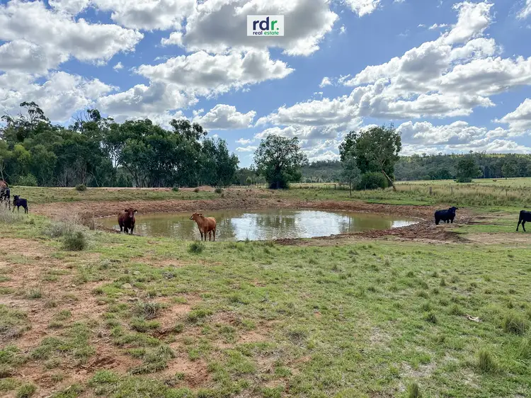 Fourth view of Homely rural property listing, 691 Fairford Road, Warialda NSW 2402