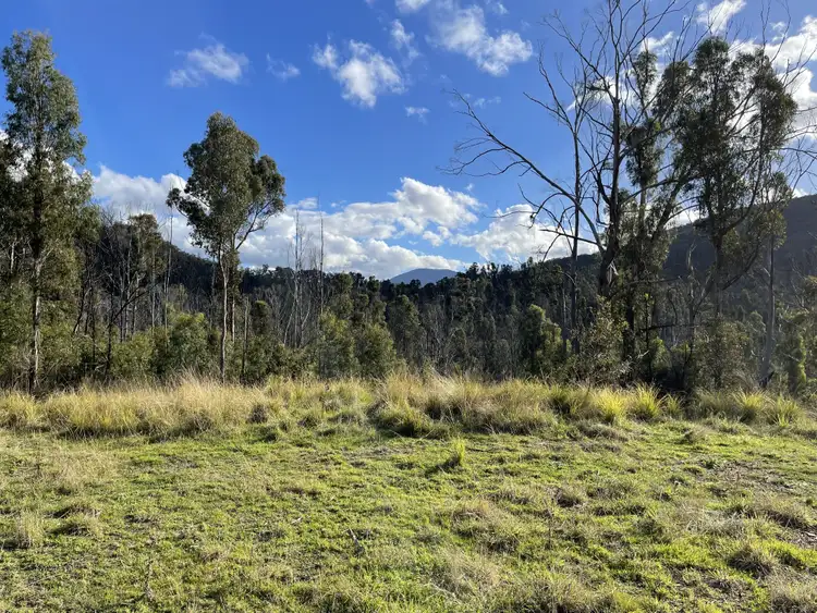 Fourth view of Homely rural property listing, 16 Wog Wog Trail PERICOE Via, Eden NSW 2551
