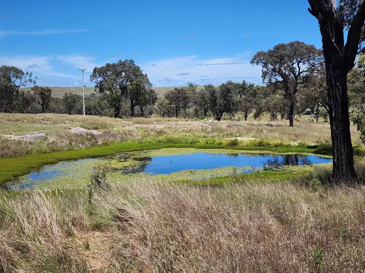 Third view of Homely rural property listing, 2663 Nullamanna Rd, Inverell NSW 2360