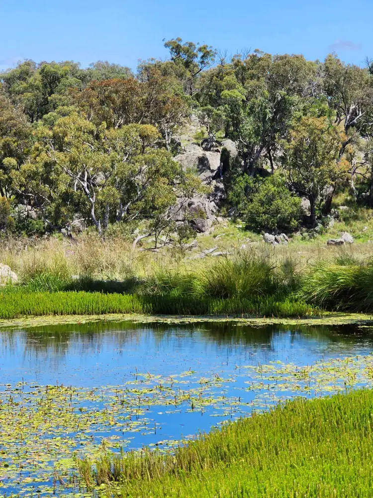 Fourth view of Homely rural property listing, 2663 Nullamanna Rd, Inverell NSW 2360