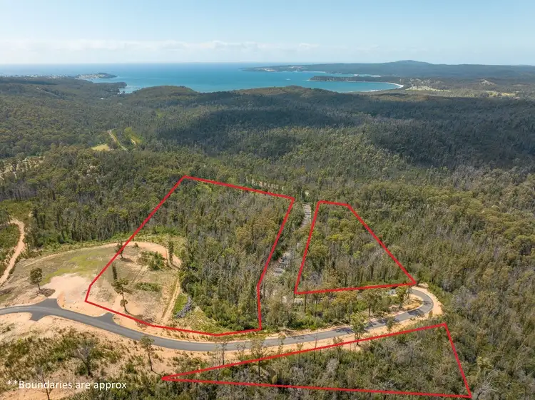 Main view of Homely land listing, 72 Silver Top Crescent, NULLICA Via, Eden NSW 2551