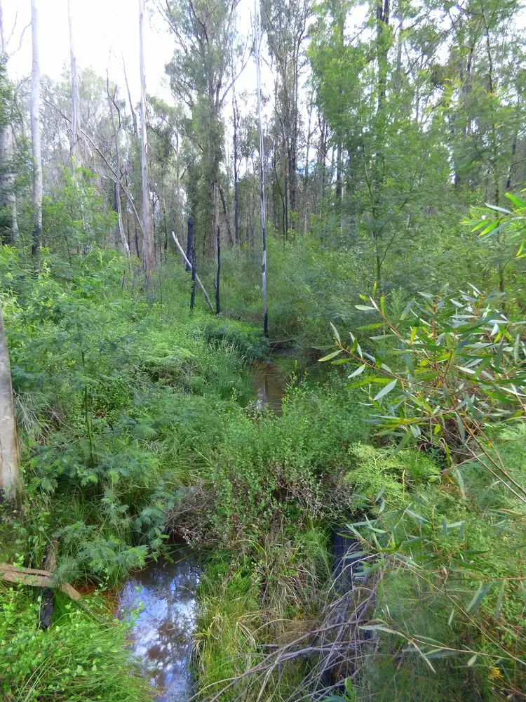 Seventh view of Homely land listing, 72 Silver Top Crescent, NULLICA Via, Eden NSW 2551