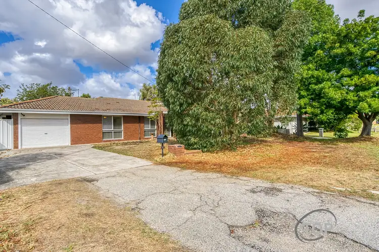 38 Salmon Gum Rise, Willetton WA 6155