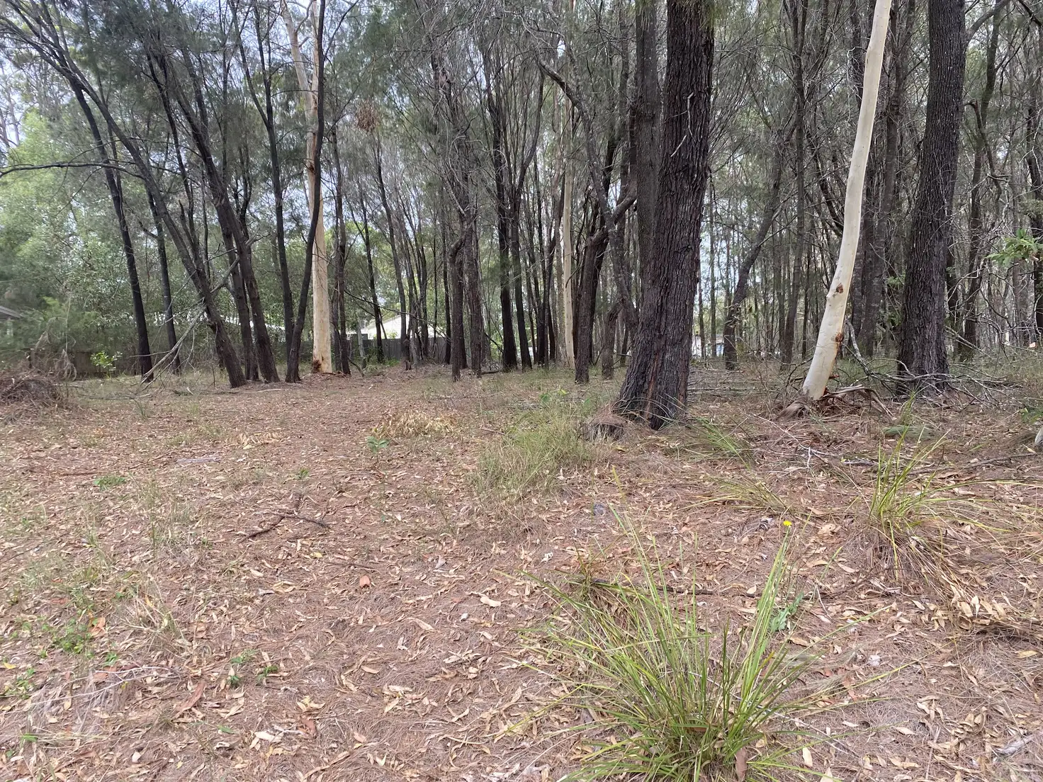 Main view of Homely land listing, 4 The Avenue, Russell Island QLD 4184