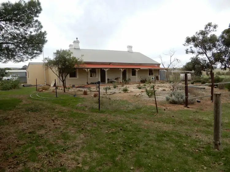 Main view of Homely rural property listing, 70 Talbots Rd, Crystal Brook SA 5523