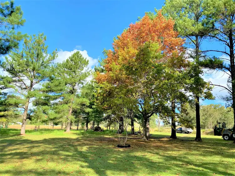 Third view of Homely rural property listing, 737 Waukivory Rd, Gloucester NSW 2422