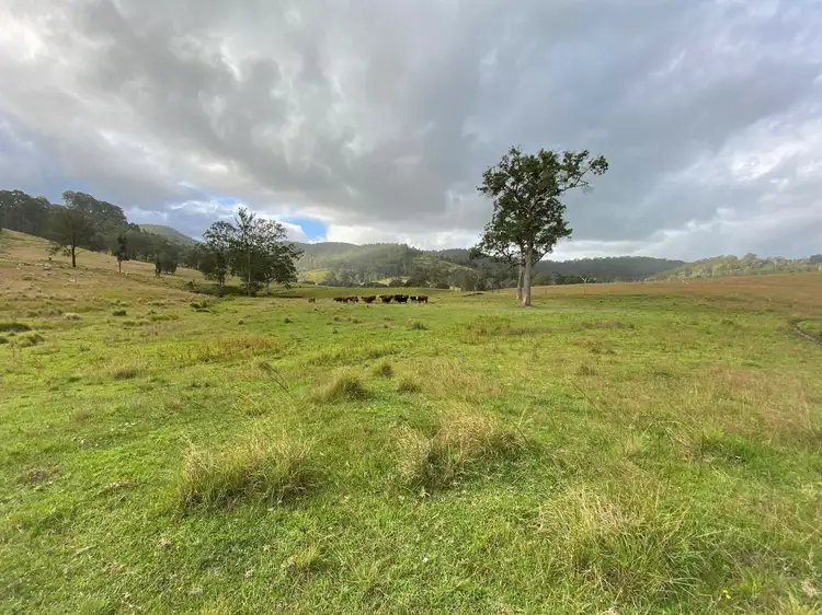 Fourth view of Homely rural property listing, 737 Waukivory Rd, Gloucester NSW 2422