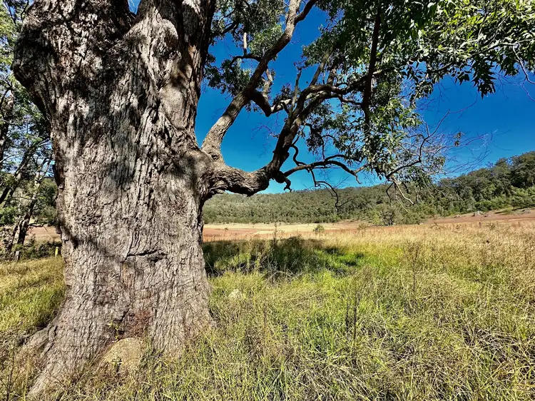 Second view of Homely rural property listing, Lot 6 Paynes Crossing Rd, Paynes Crossing NSW 2325