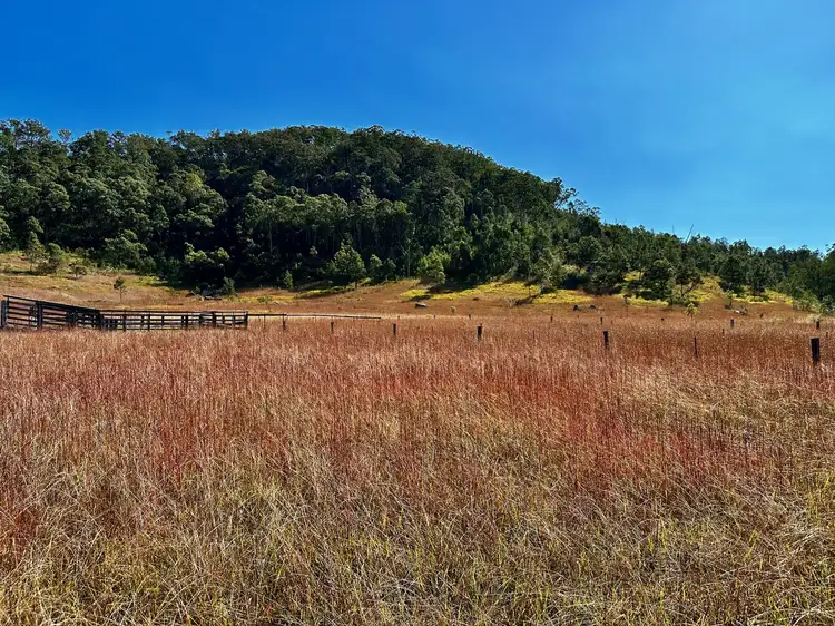 Third view of Homely rural property listing, Lot 6 Paynes Crossing Rd, Paynes Crossing NSW 2325