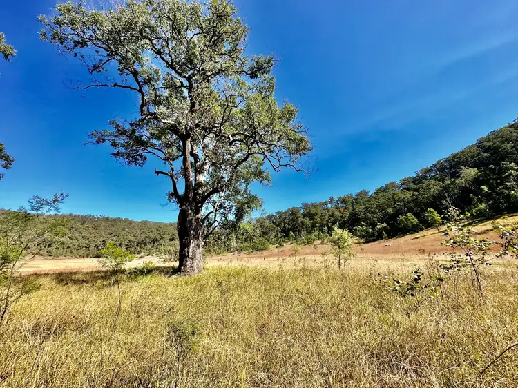 Fourth view of Homely rural property listing, Lot 6 Paynes Crossing Rd, Paynes Crossing NSW 2325