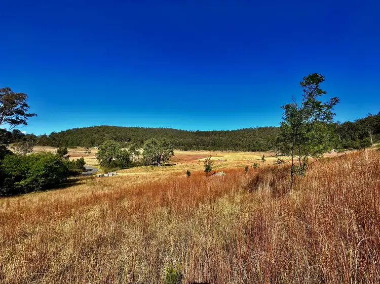 Seventh view of Homely rural property listing, Lot 6 Paynes Crossing Rd, Paynes Crossing NSW 2325