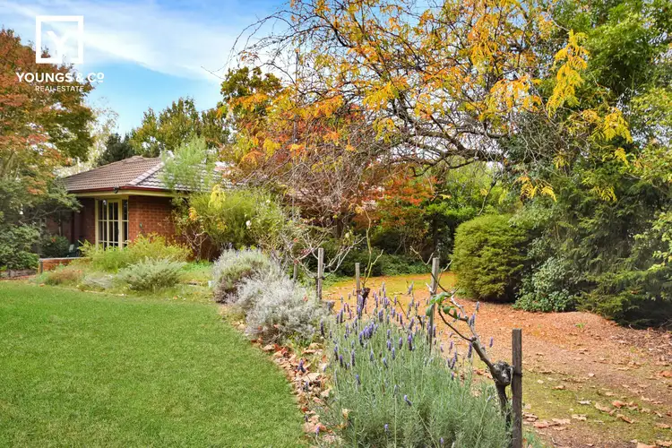 Main view of Homely house listing, 523 Central Ave, Shepparton East VIC 3631