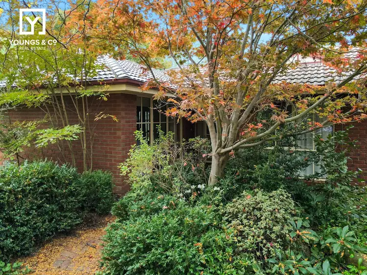 Second view of Homely house listing, 523 Central Ave, Shepparton East VIC 3631