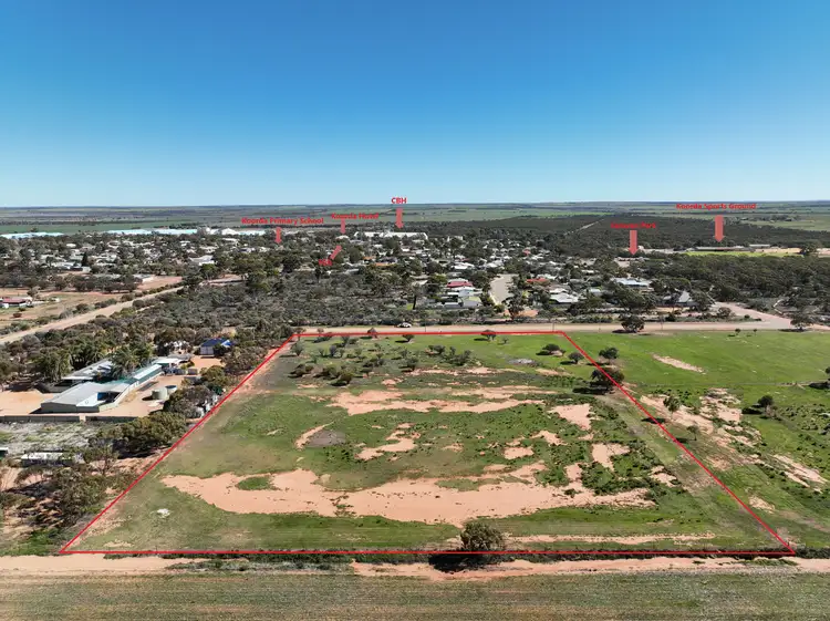 Second view of Homely land listing, 14 Rae St, Koorda WA 6475