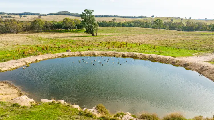 Third view of Homely rural property listing, 7 Three Sisters Road, Beechworth VIC 3747